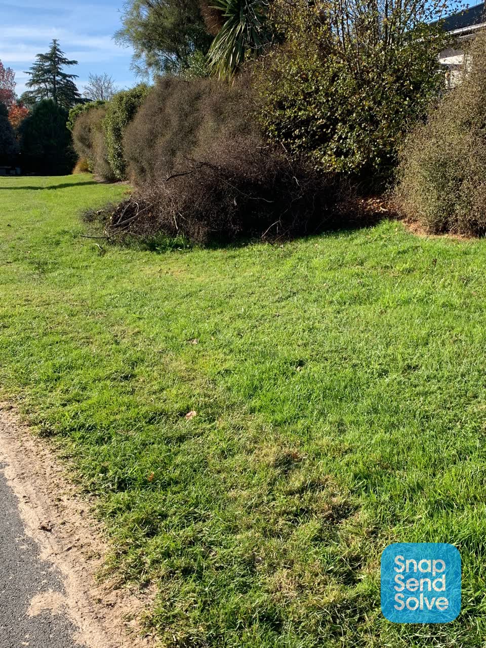 The photograph attached to this parks report