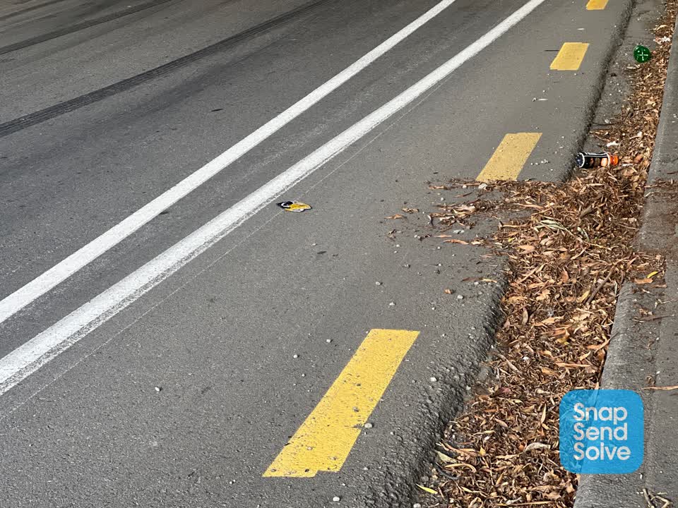 The photograph attached to this roading/streets report