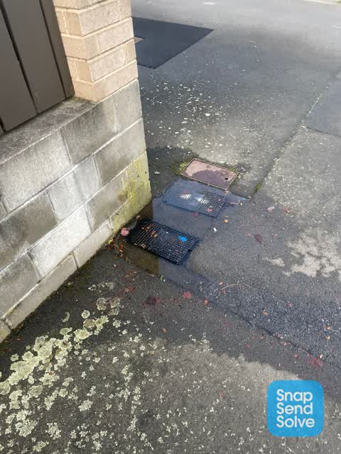 Water Leak, a report photo