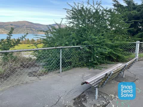 Roading/Streets, a report photo