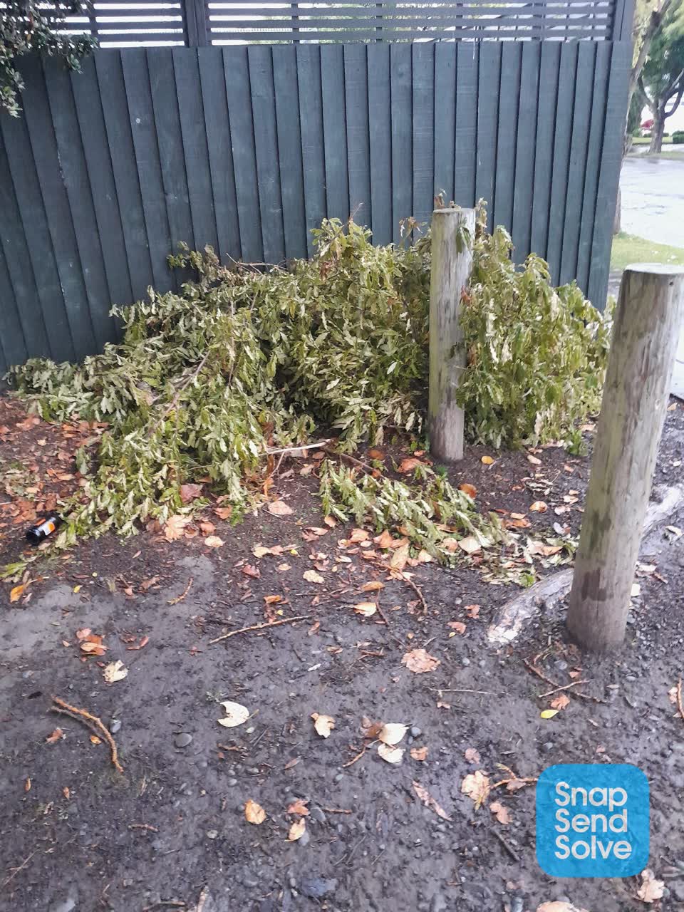 The photograph attached to this parks report