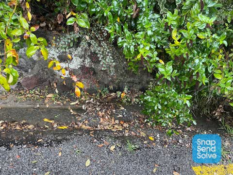 Wastewater/Stormwater, a report photo