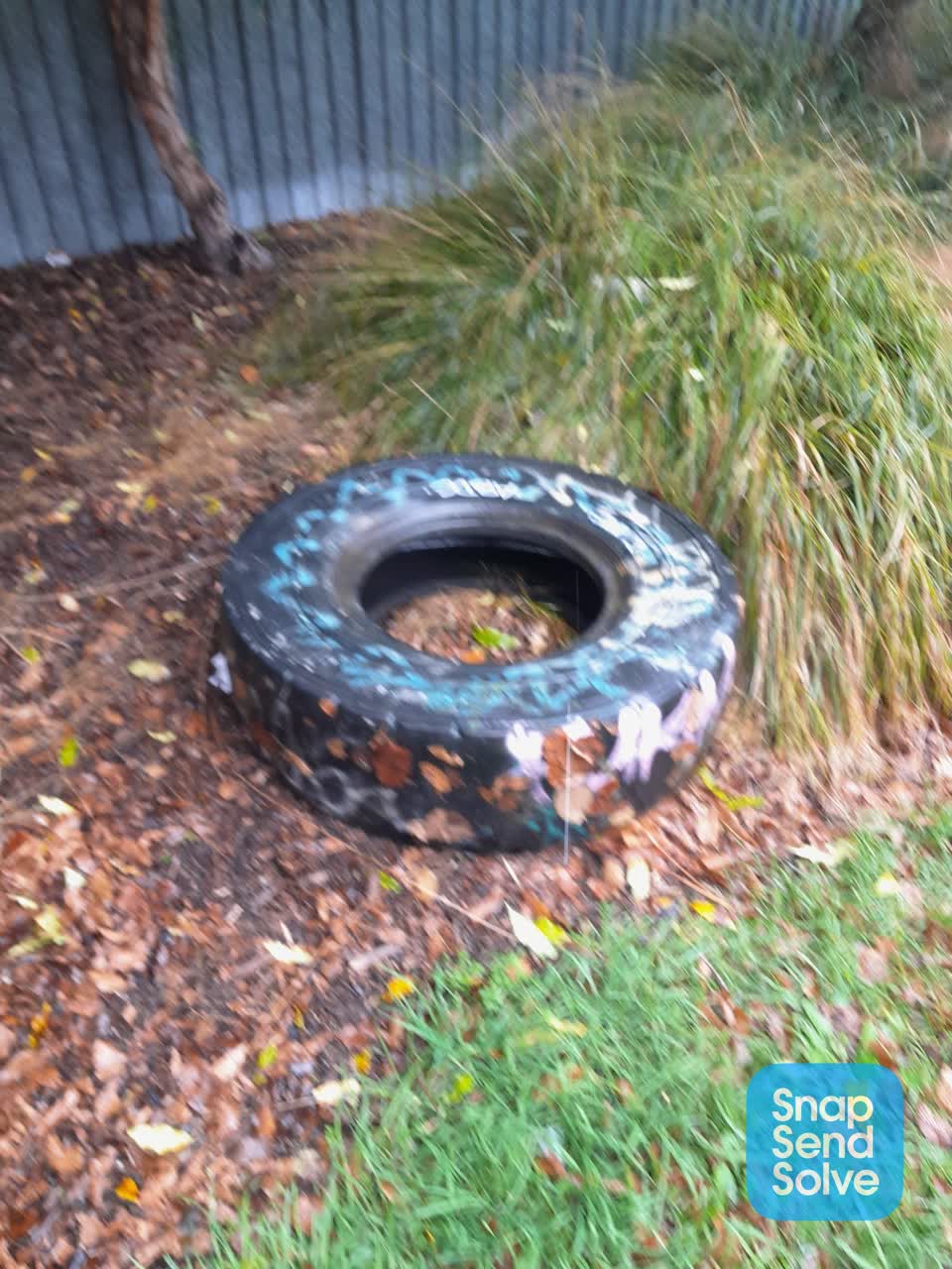 The photograph attached to this parks report