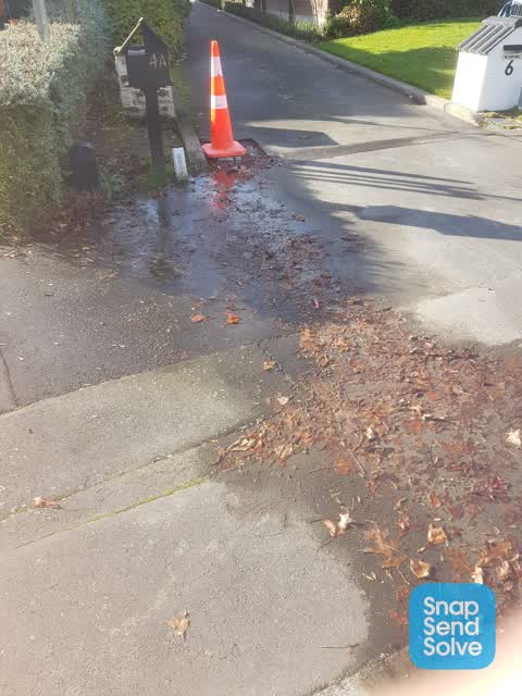 Water Leak, a report photo