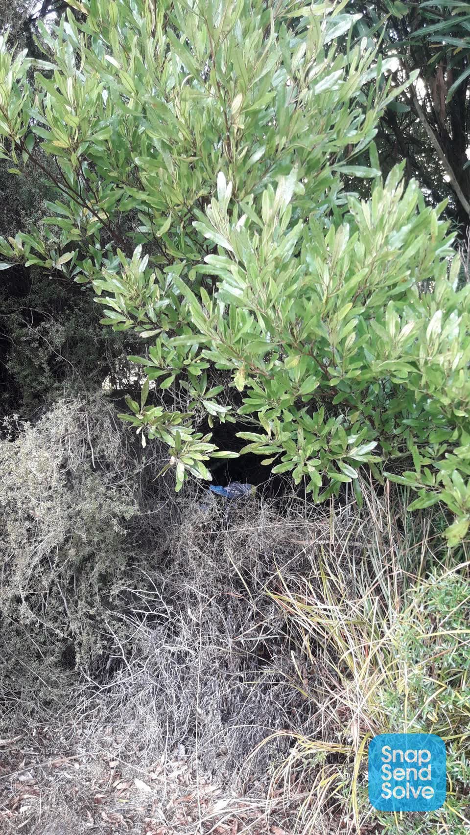 The photograph attached to this rubbish/recycling report