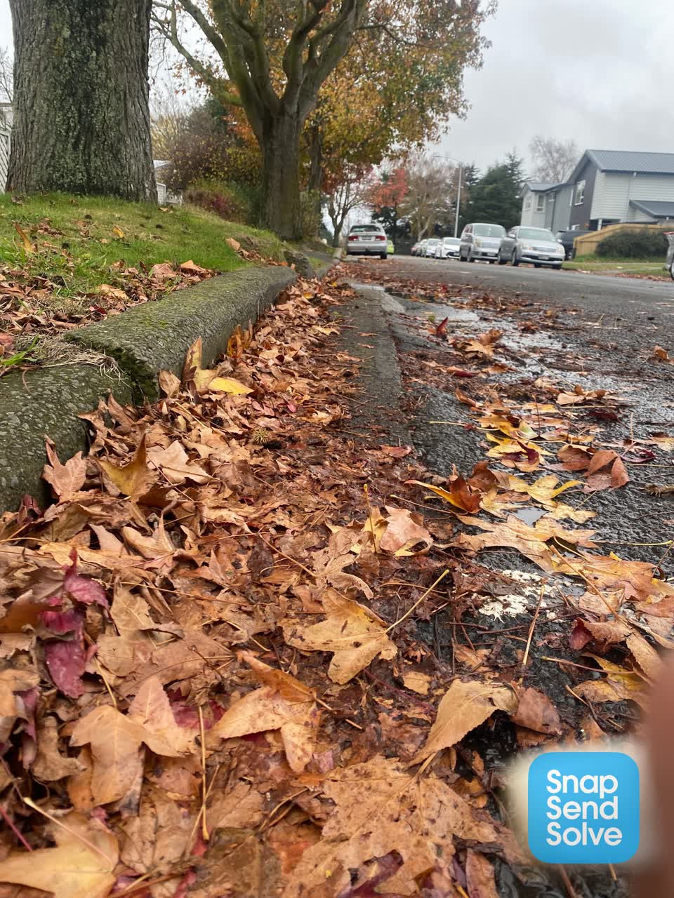 The photograph attached to this roading/streets report
