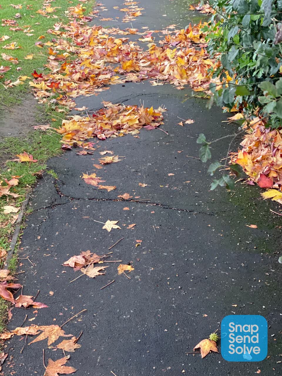 The photograph attached to this roading/streets report