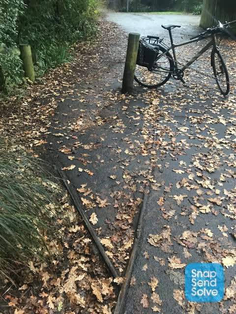 Parks, a report photo