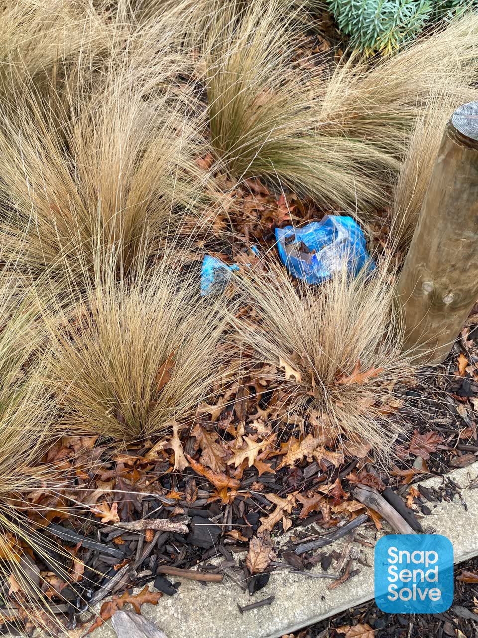 The photograph attached to this parks report