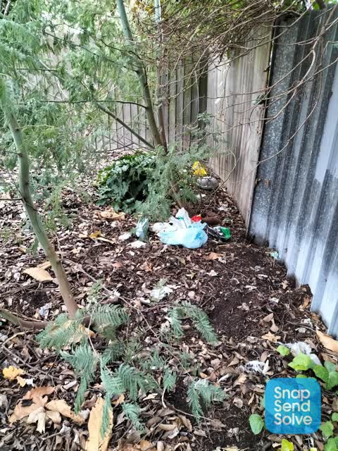 Rubbish/Recycling, a report photo