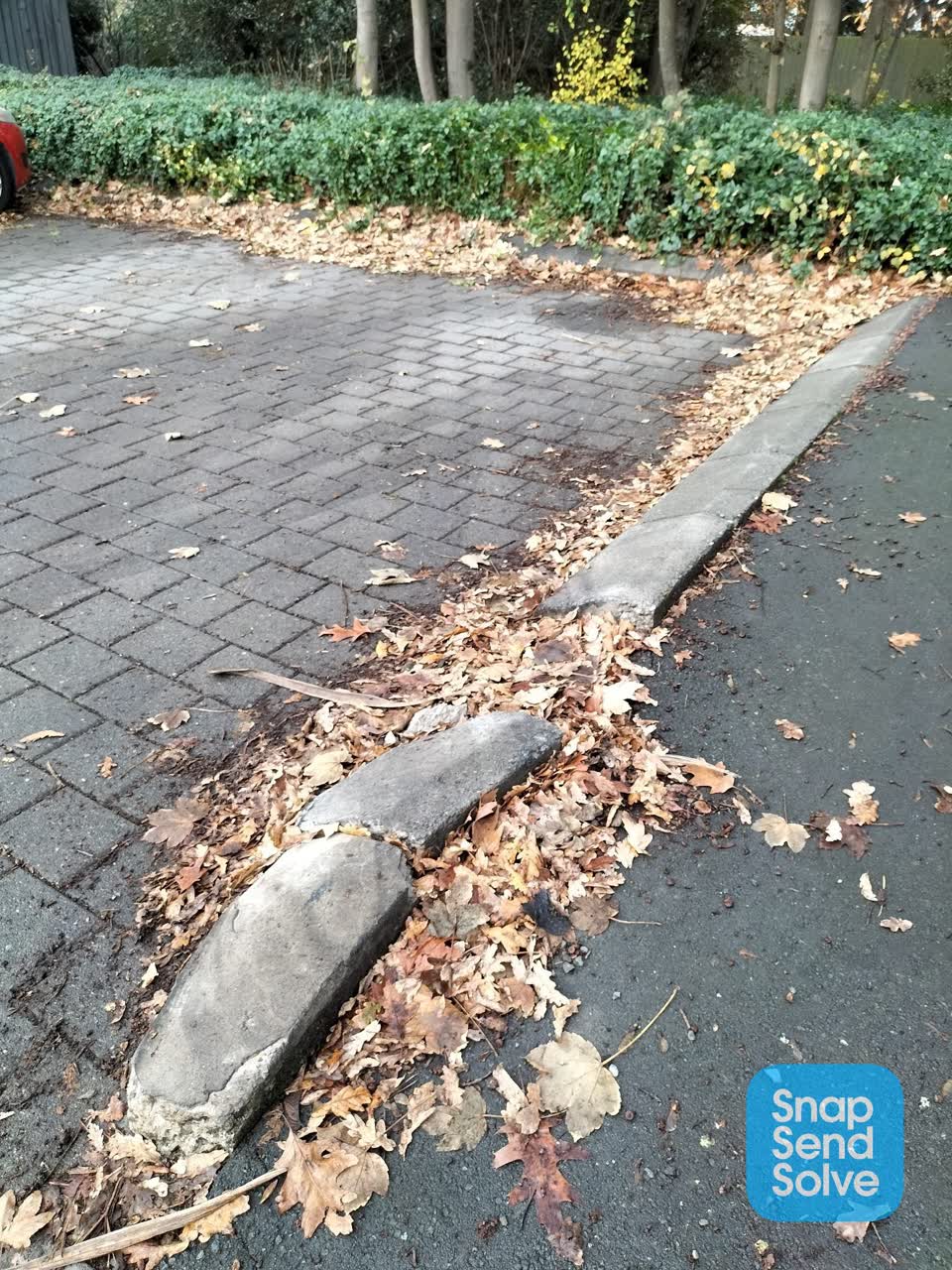 The photograph attached to this parks report