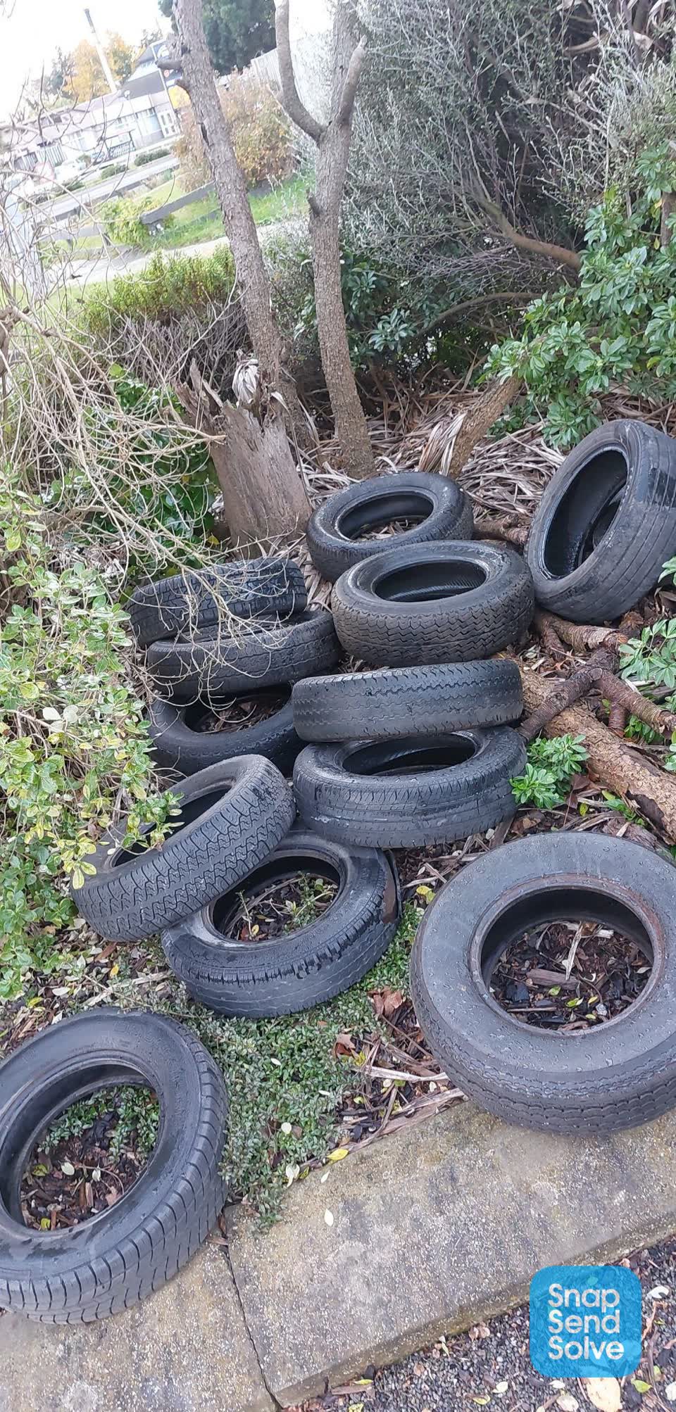 The photograph attached to this rubbish/recycling report