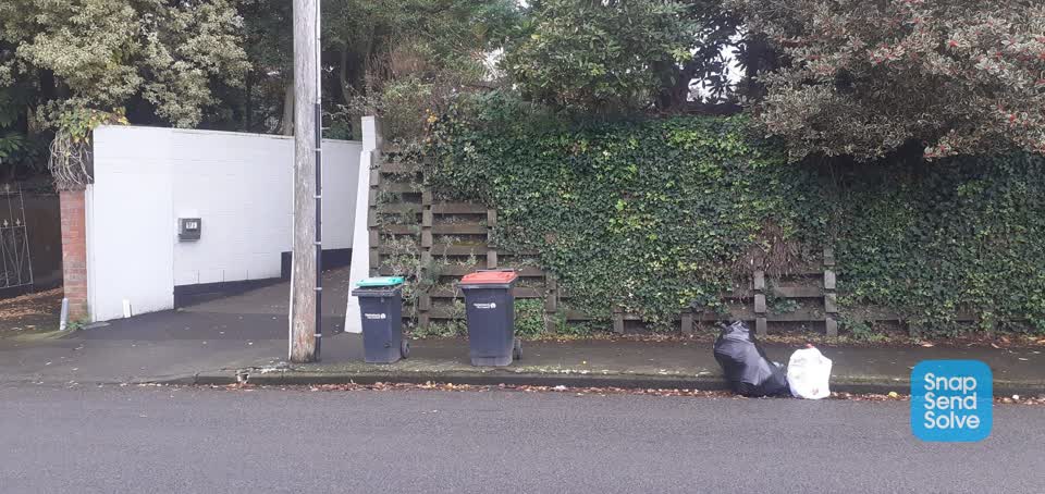 The photograph attached to this rubbish/recycling report