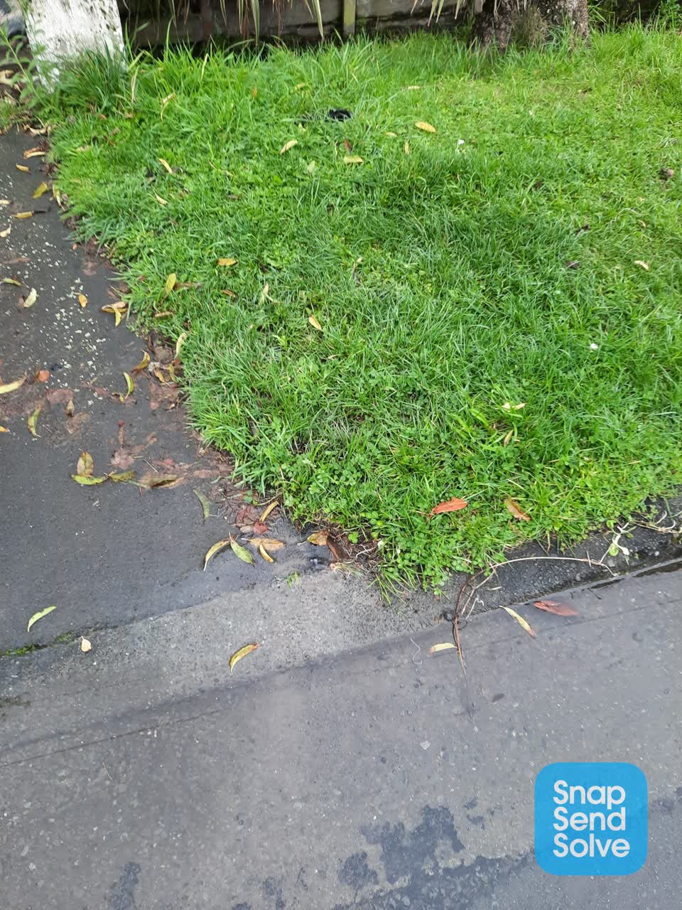 The photograph attached to this water leak report