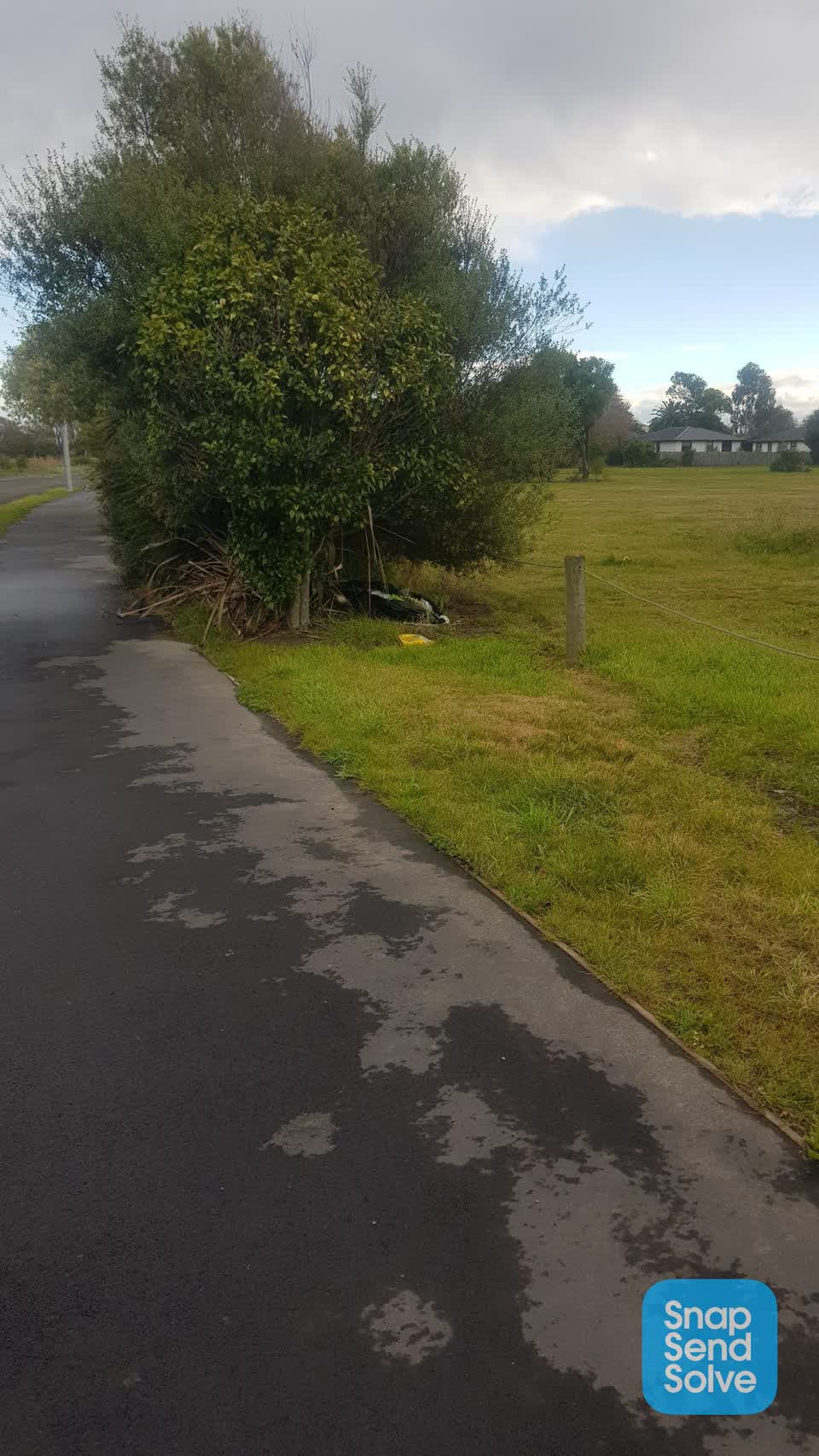 The photograph attached to this rubbish/recycling report