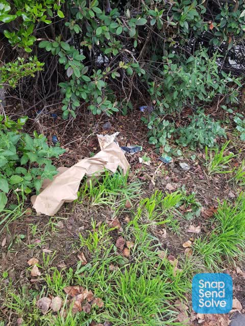Rubbish/Recycling — a report photo