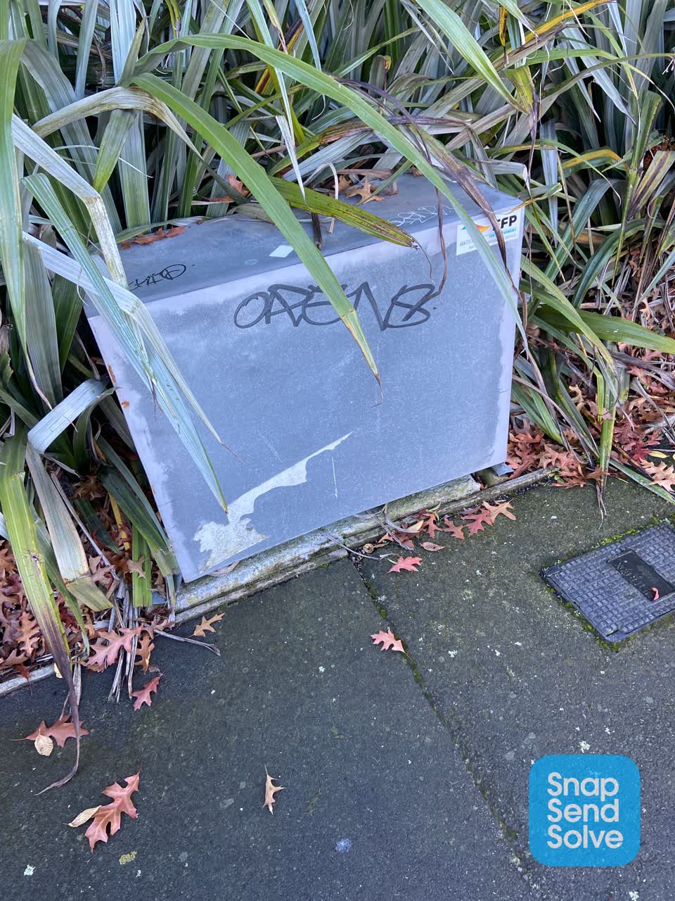 The photograph attached to this graffiti report