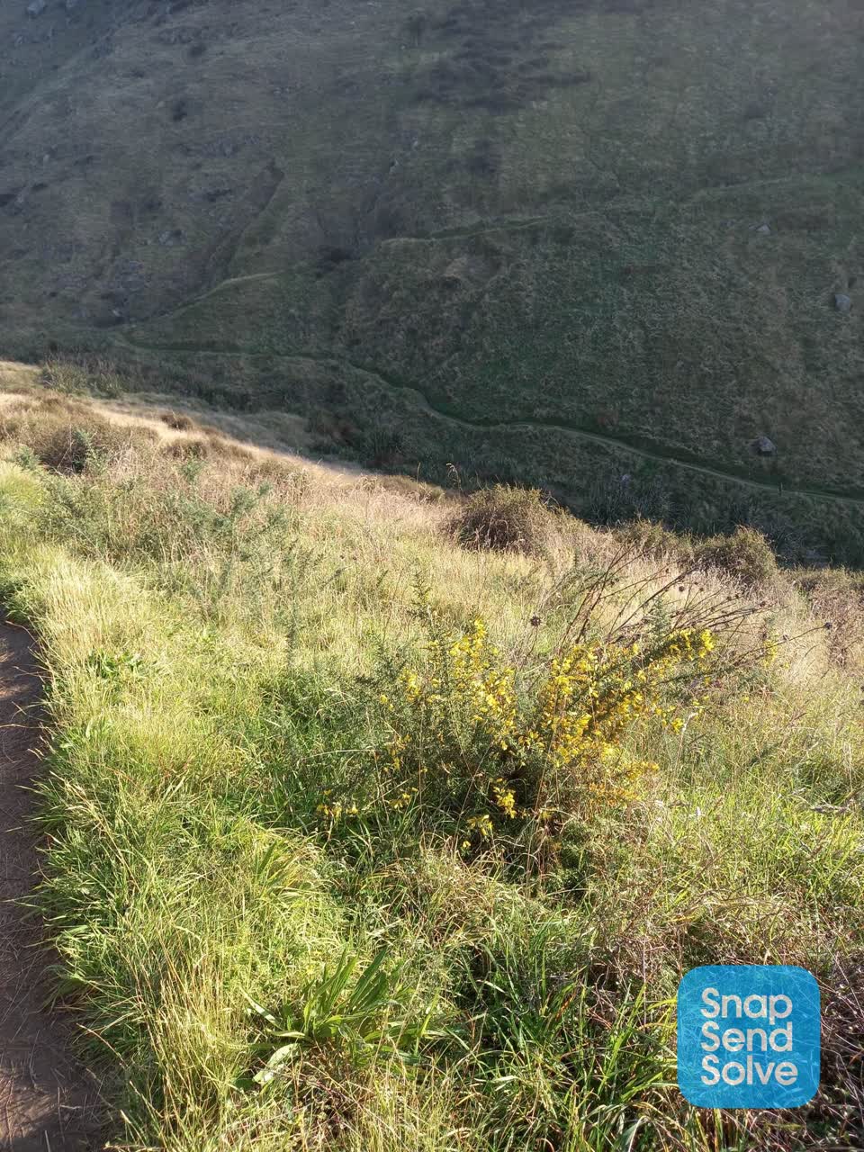 The photograph attached to this parks report
