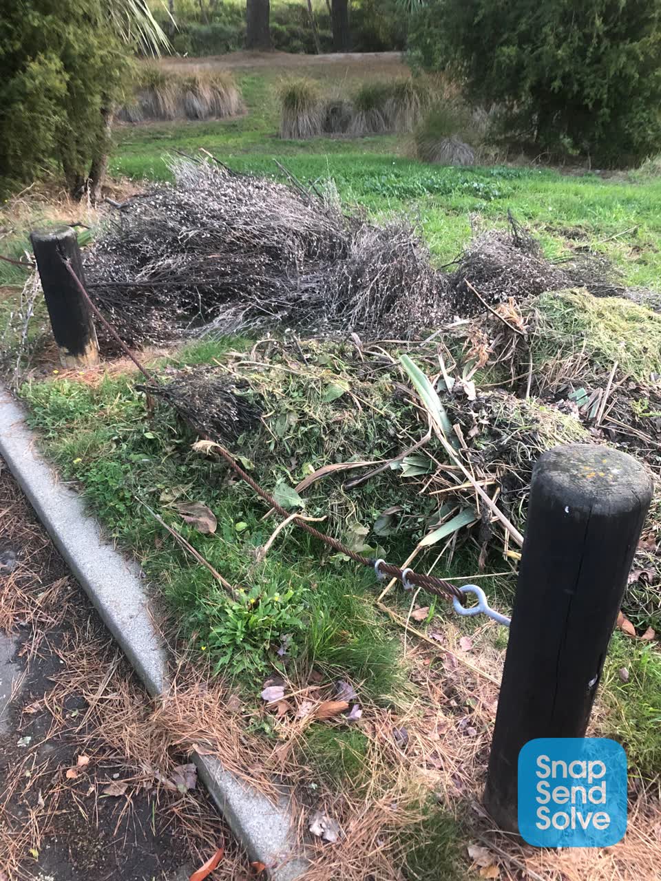 The photograph attached to this parks report