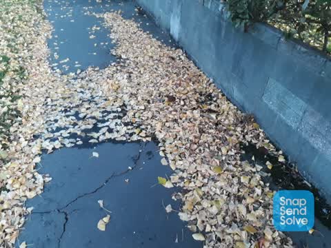 Water Leak, a report photo