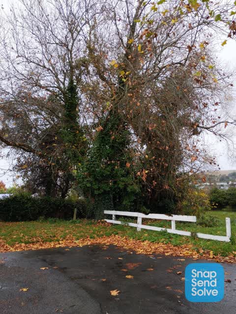 Parks, a report photo