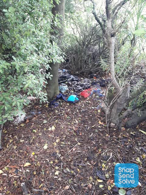 Parks, a report photo