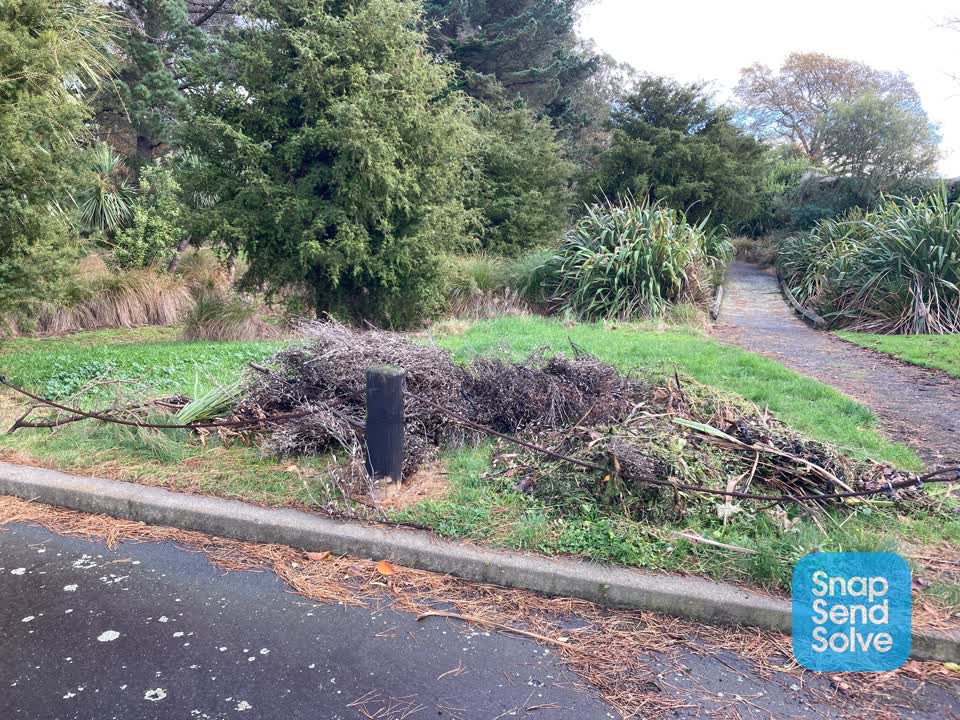 The photograph attached to this parks report