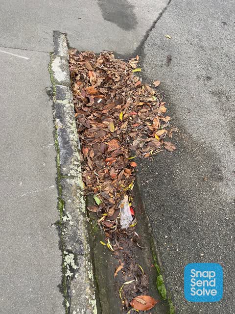 Roading/Streets, a report photo