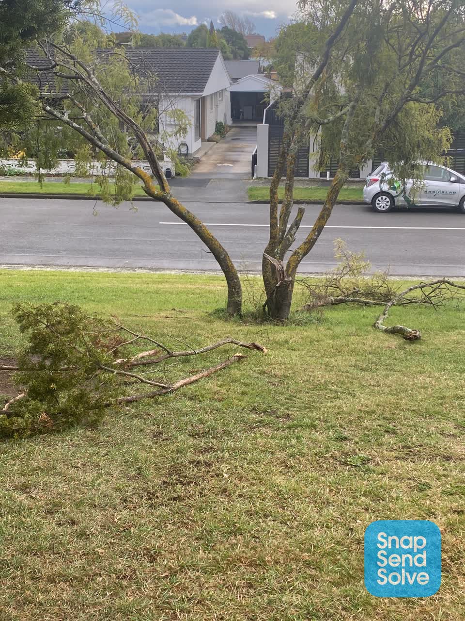 The photograph attached to this parks report