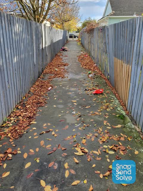 Rubbish/Recycling, a report photo