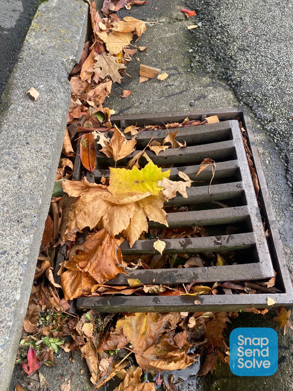 The photograph attached to this roading/streets report