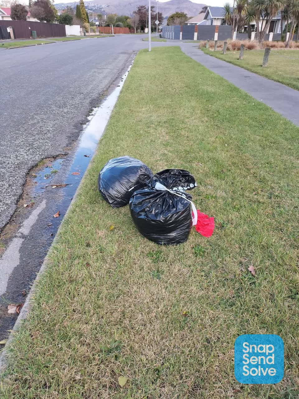 The photograph attached to this rubbish/recycling report