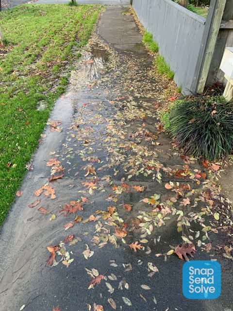 Water Leak, a report photo
