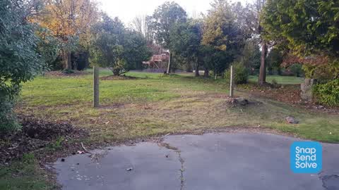 Parks, a report photo