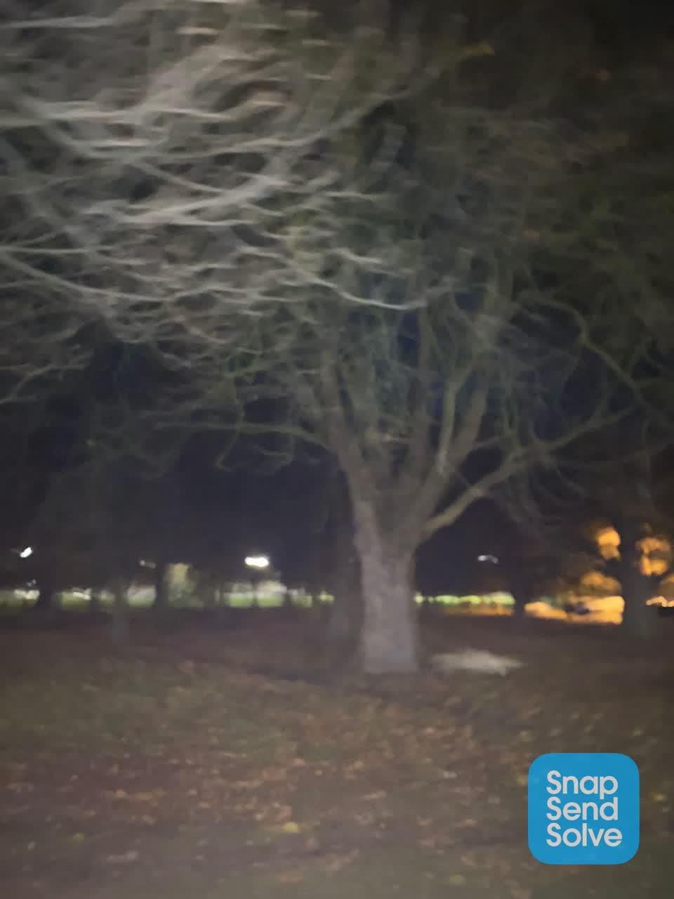 The photograph attached to this parks report