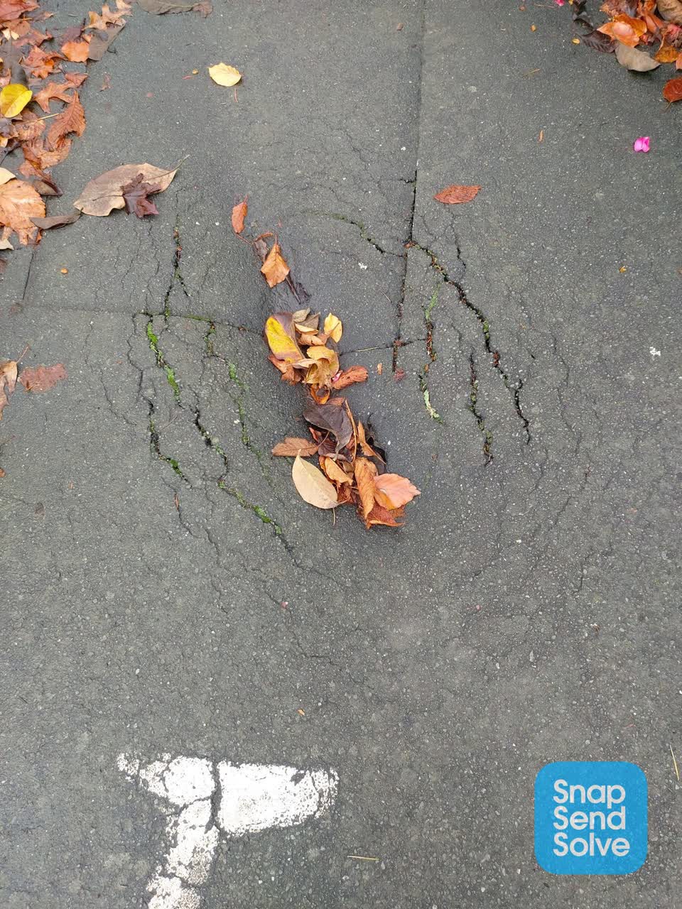 The photograph attached to this roading/streets report