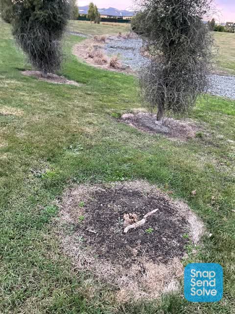 Parks — a report photo
