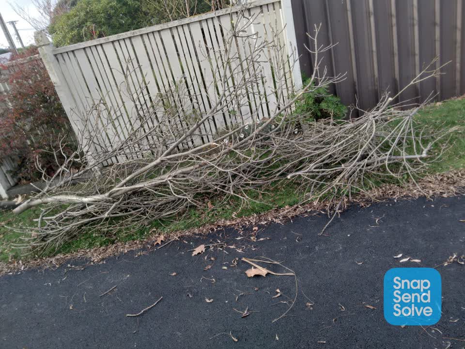 The photograph attached to this rubbish/recycling report