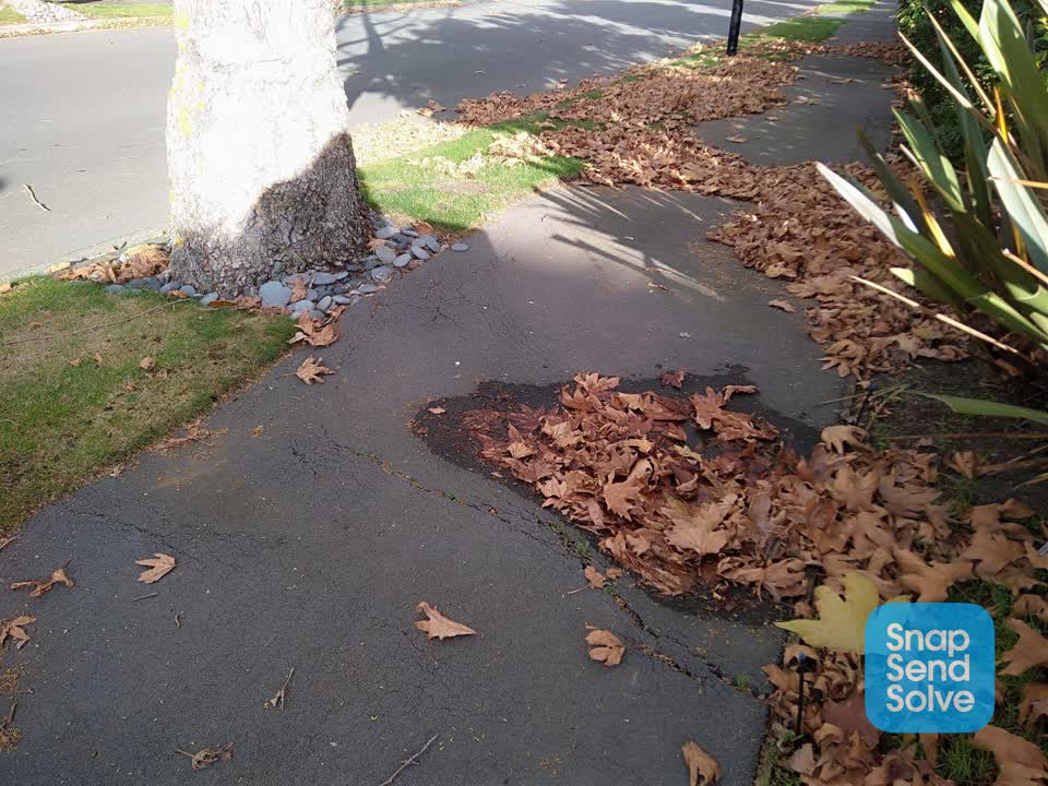 The photograph attached to this roading/streets report
