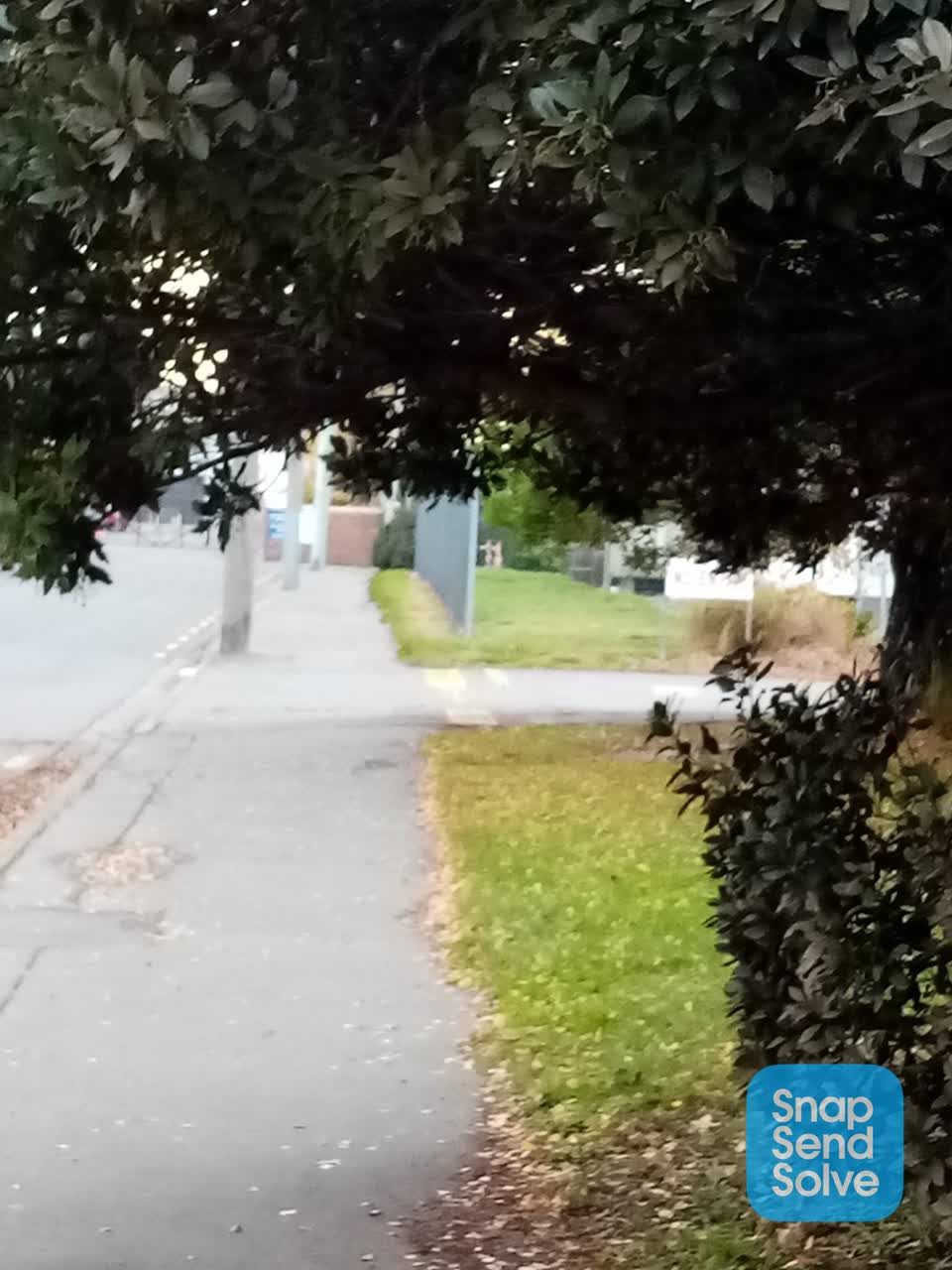 The photograph attached to this roading/streets report