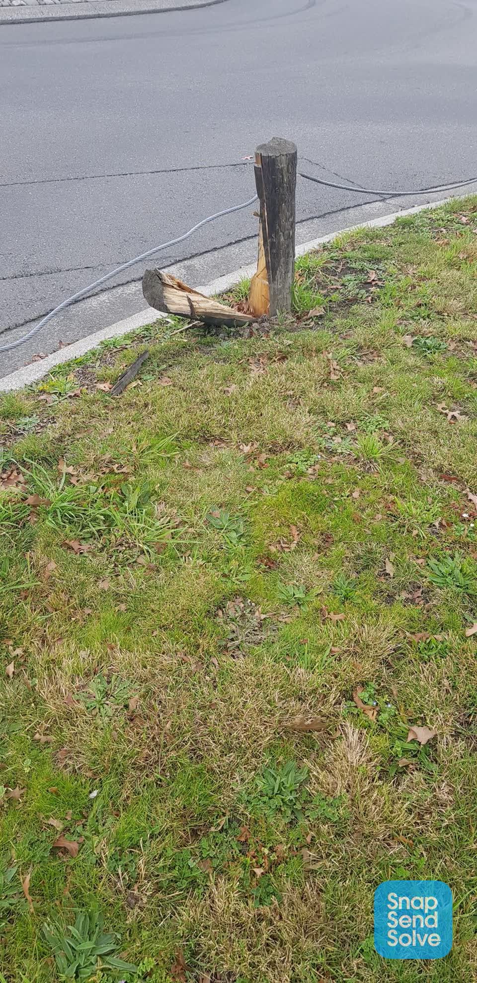 The photograph attached to this parks report