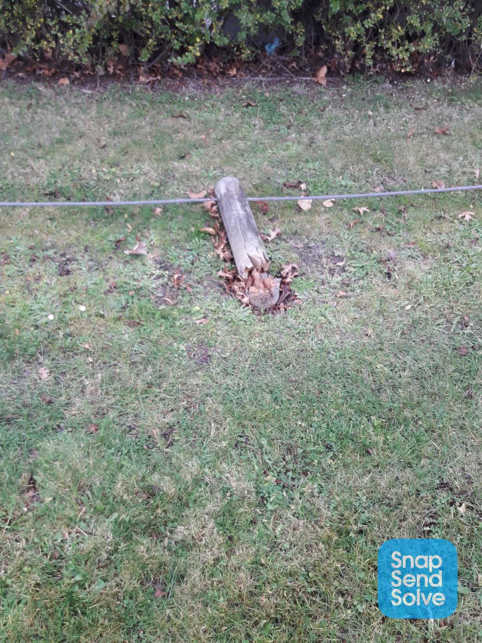 The photograph attached to this parks report