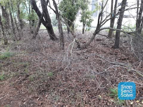 Parks, a report photo