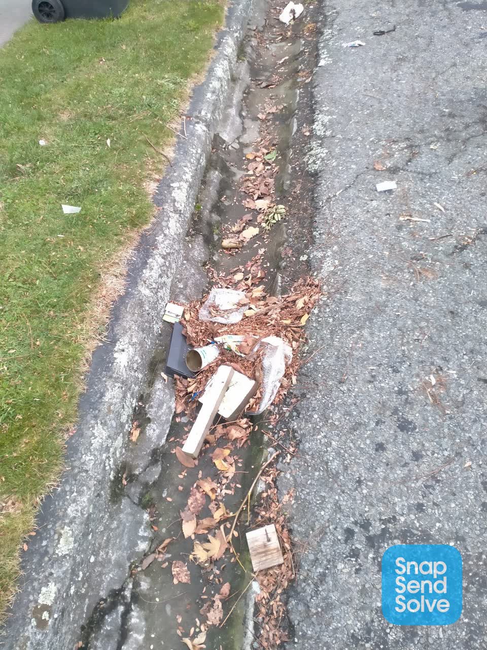 The photograph attached to this rubbish/recycling report