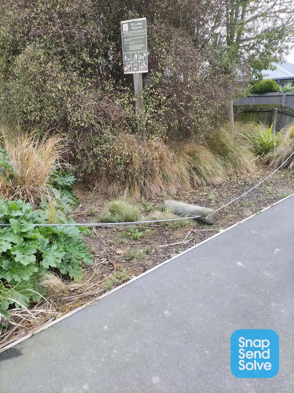 The photograph attached to this parks report