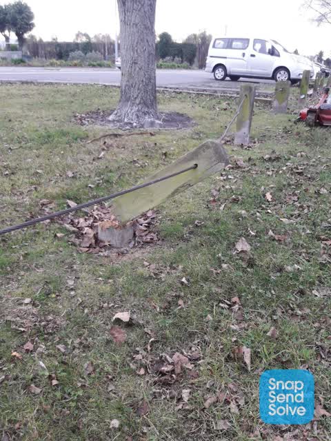 Parks, a report photo