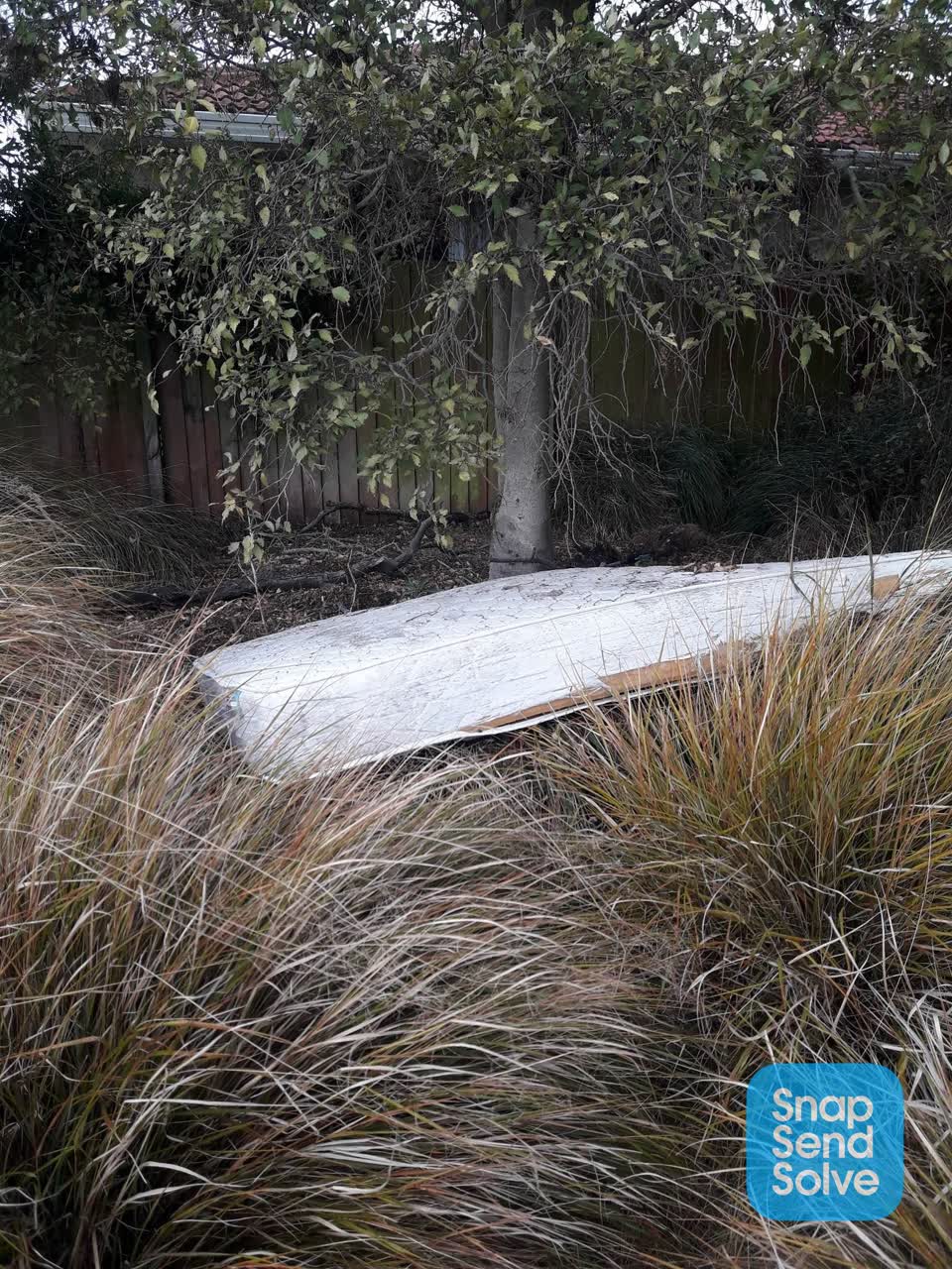The photograph attached to this parks report