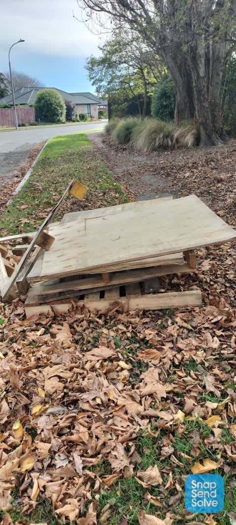 Rubbish/Recycling, a report photo