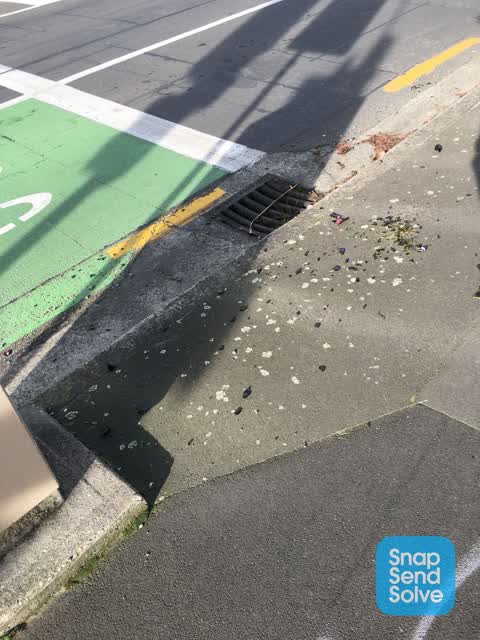 Roading/Streets, a report photo