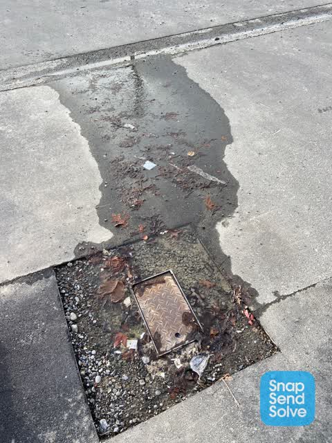 Water Leak, a report photo